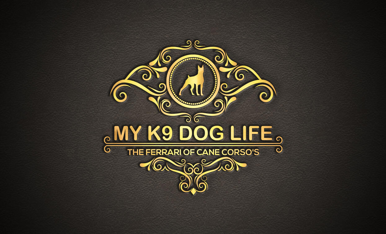 MY K9 DOG LIFE LOGO CORSO PUPPIES